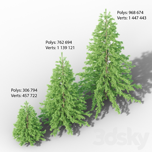 Young spruce 3DSMax File - thumbnail 2