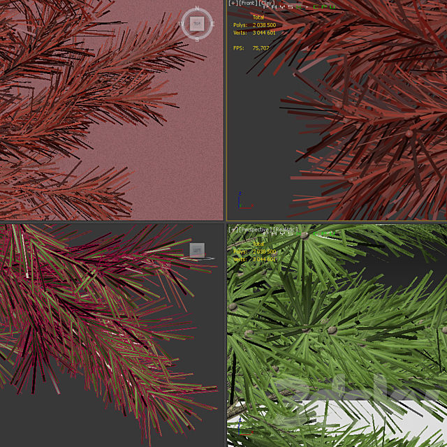 Young spruce 3DSMax File - thumbnail 3