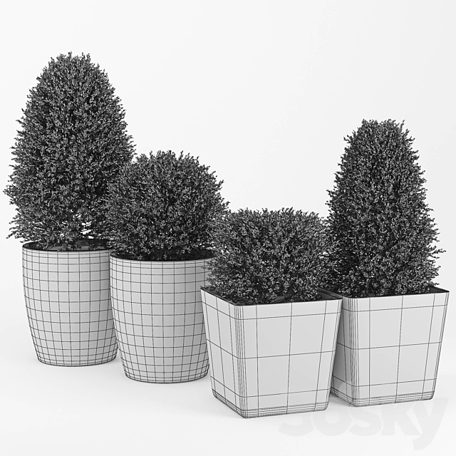 Collection of Plants 3 3DSMax File - thumbnail 2