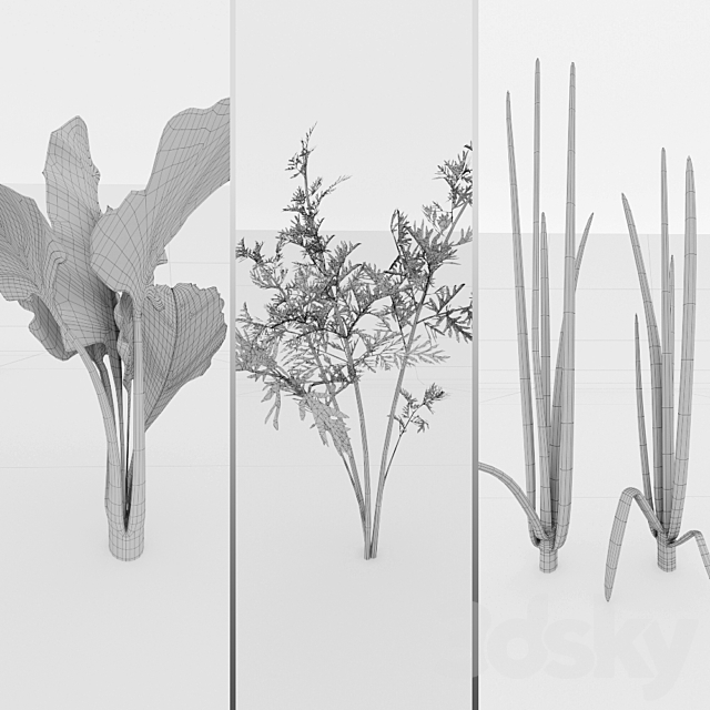 3dsky Free Download