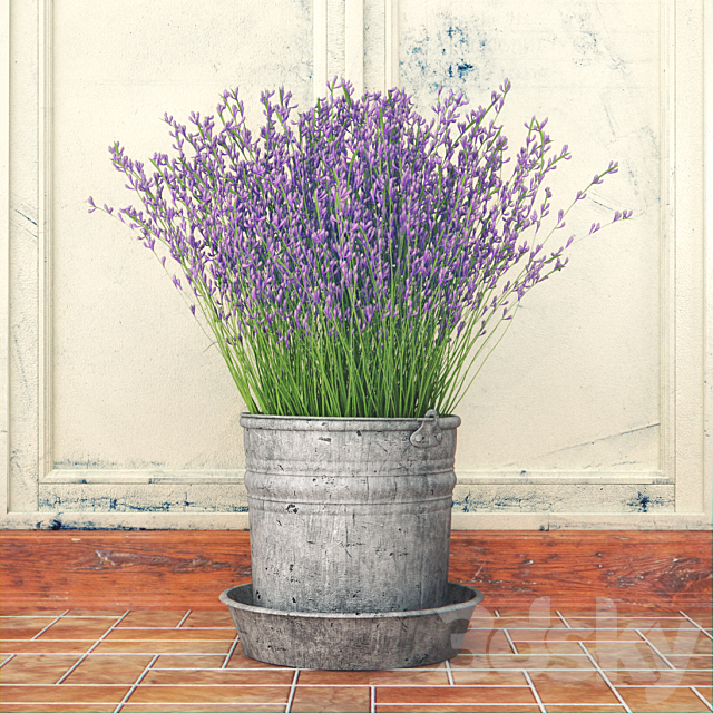 Bouquet of lilac flowers in a bucket 3DSMax File - thumbnail 1