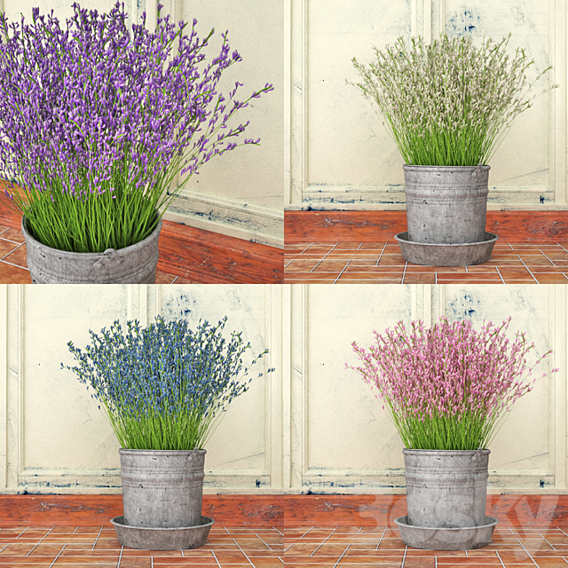 Bouquet of lilac flowers in a bucket 3DSMax File - thumbnail 2
