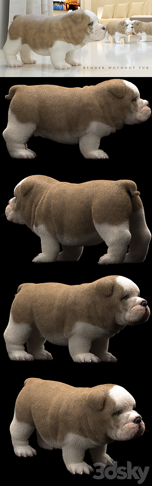 3d