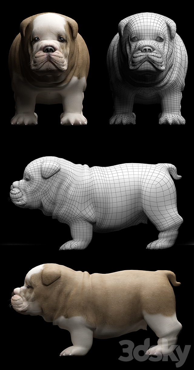 3dsky Free Download