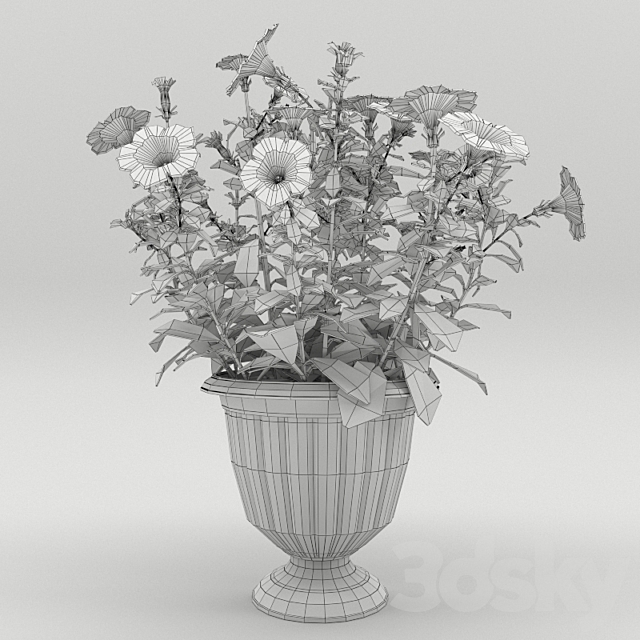 Petunia in a flower pot 3DSMax File - thumbnail 3