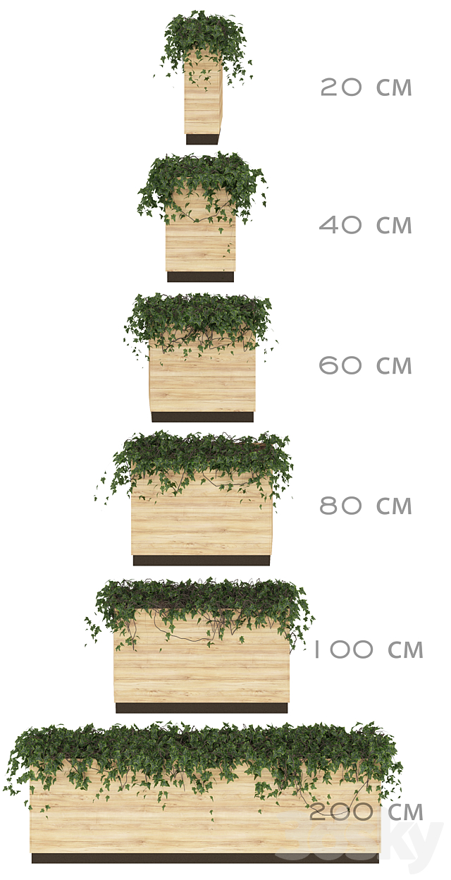 Ivy in pots. 6 Models 3d