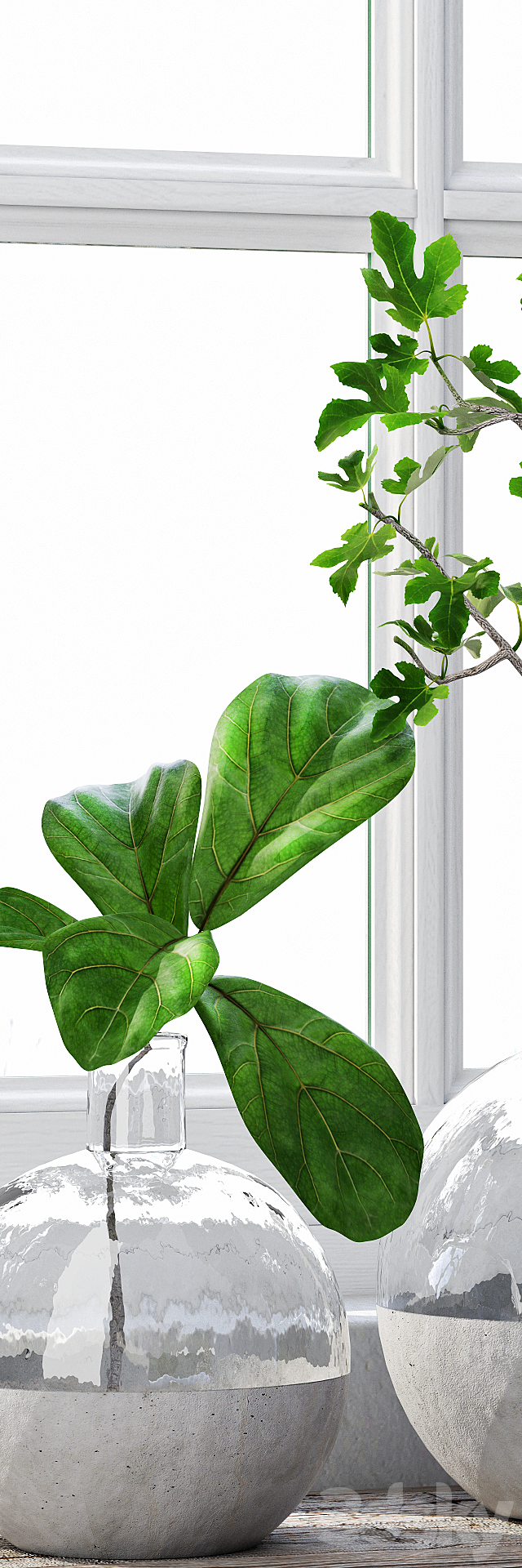 Fig Plants 1 3DSMax File - thumbnail 2