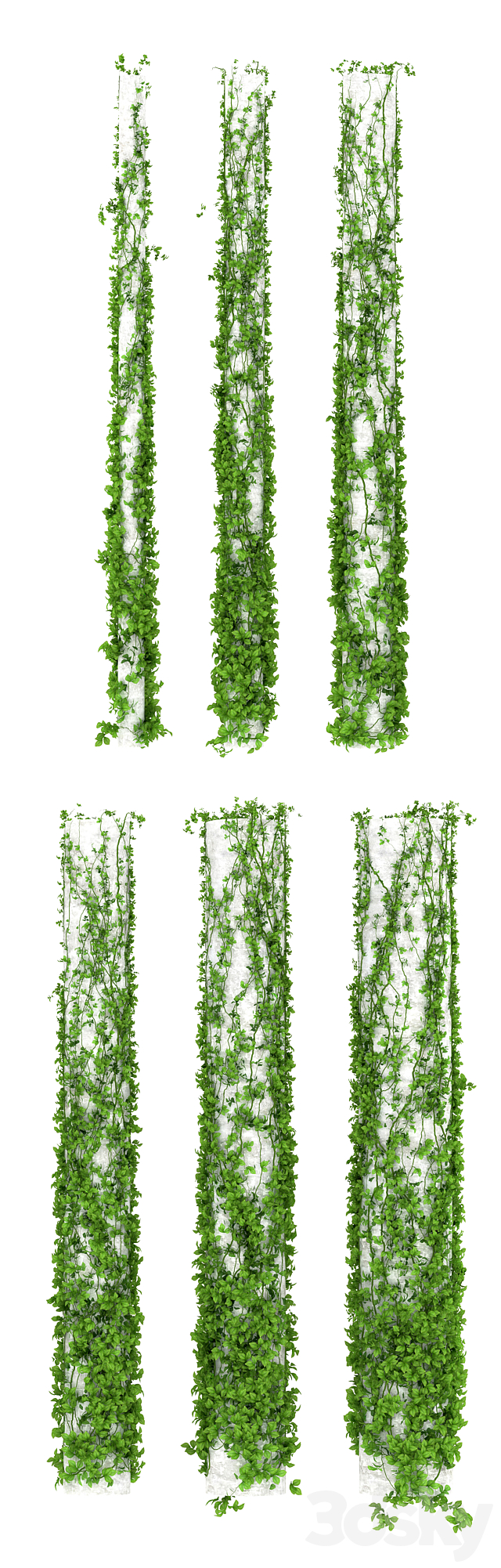 Leaves for columns. 6 sizes 3d