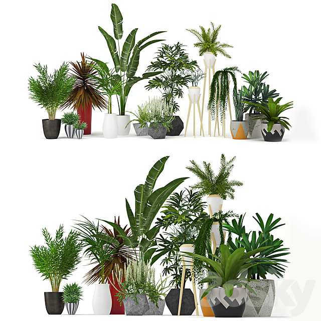 Plants Collection 3DSMax File - thumbnail 1