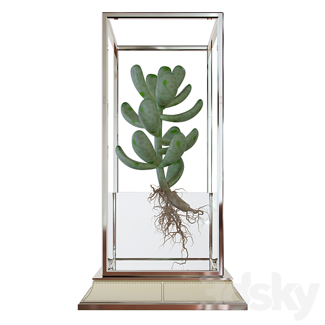 Cactus in a vase on a stand 3d