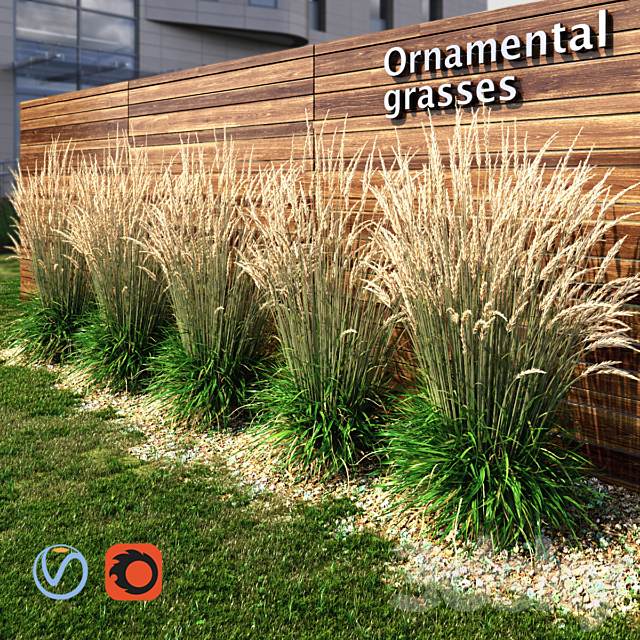 Ornamental grass dry 3DSMax File - thumbnail 1