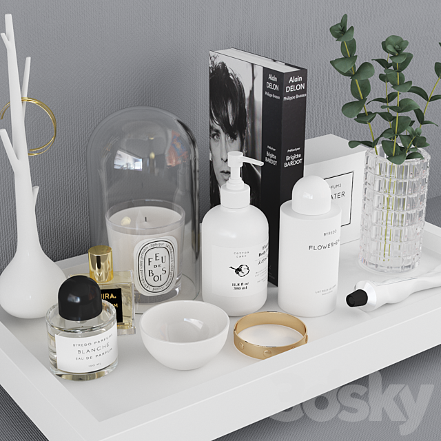 Decorative set _ Decor Tray set (Corona + Vray) 3d