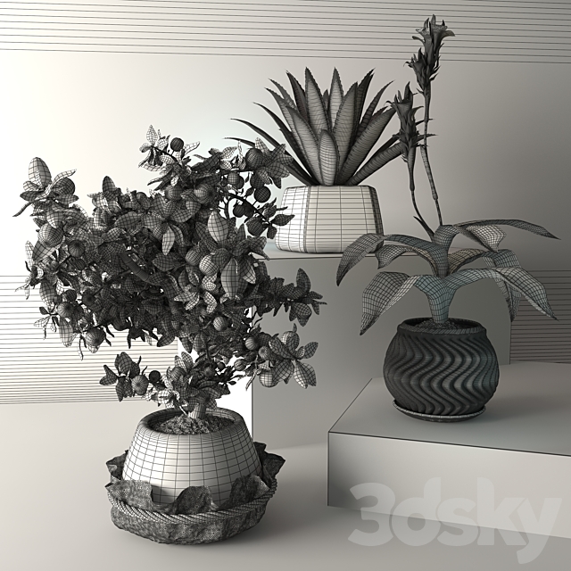 Tropical plants 3DSMax File - thumbnail 2