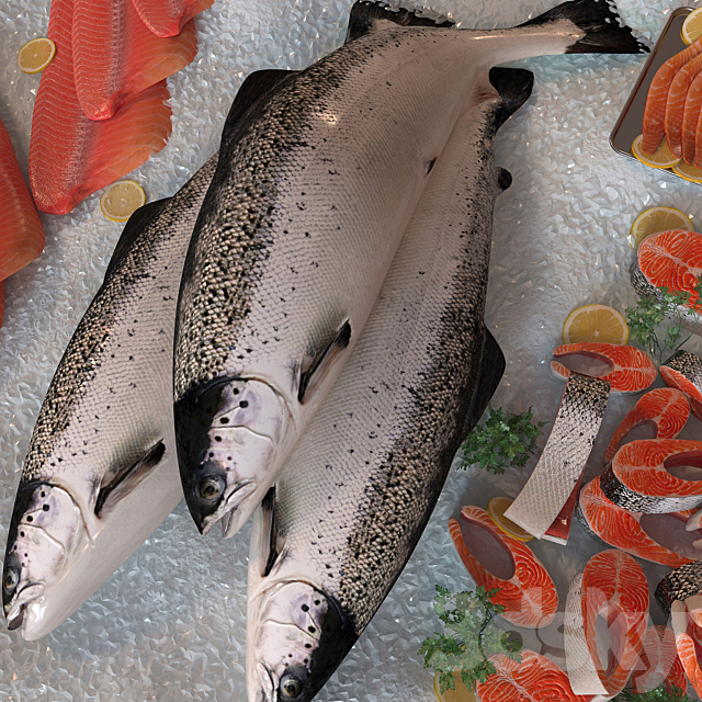 salmon set 3DSMax File - thumbnail 2