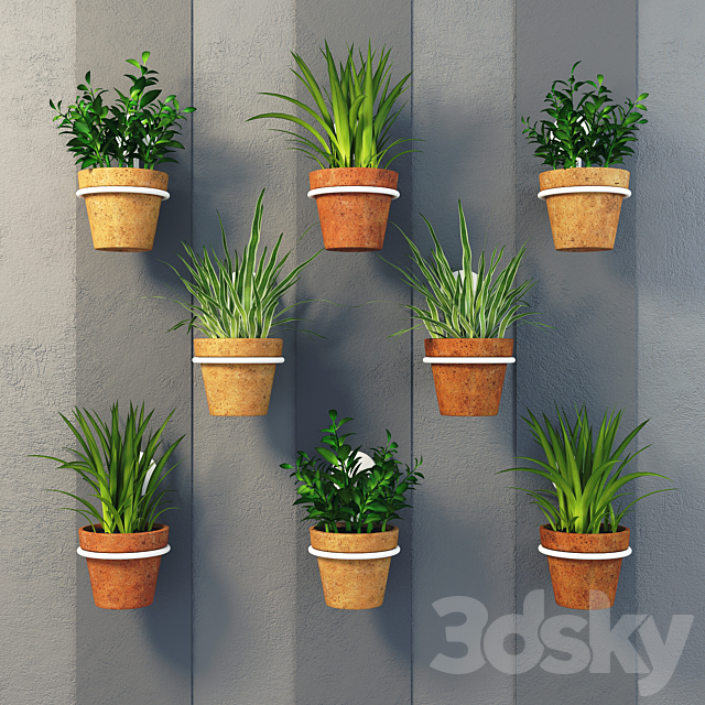 Clay pots with herbs on the wall 3DSMax File - thumbnail 1
