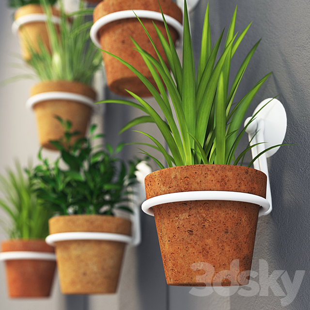 Clay pots with herbs on the wall 3DSMax File - thumbnail 2