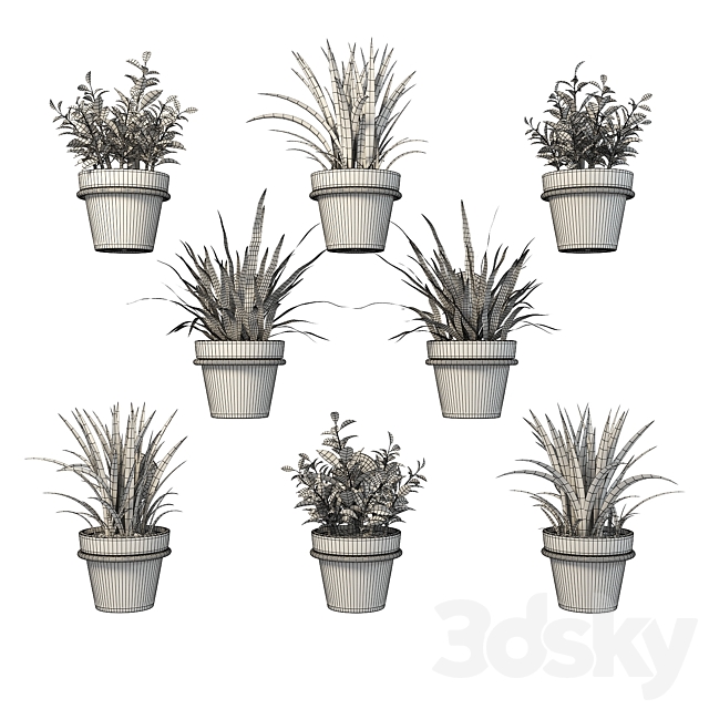Clay pots with herbs on the wall 3DSMax File - thumbnail 3