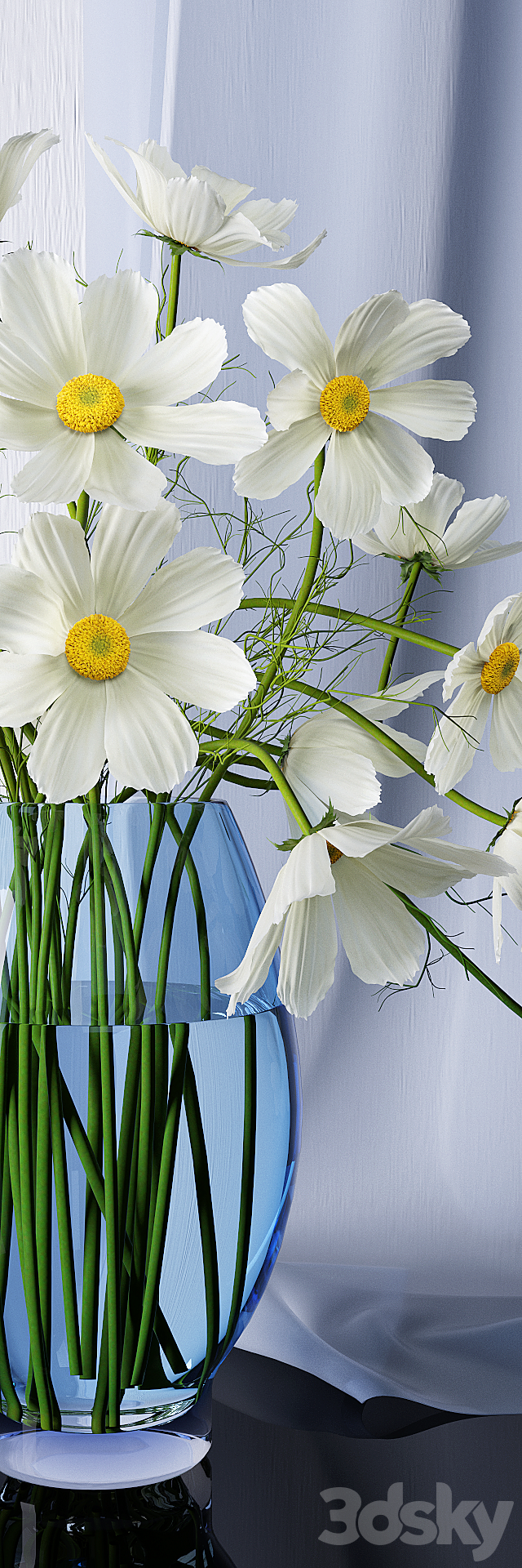 Chamomile 3d