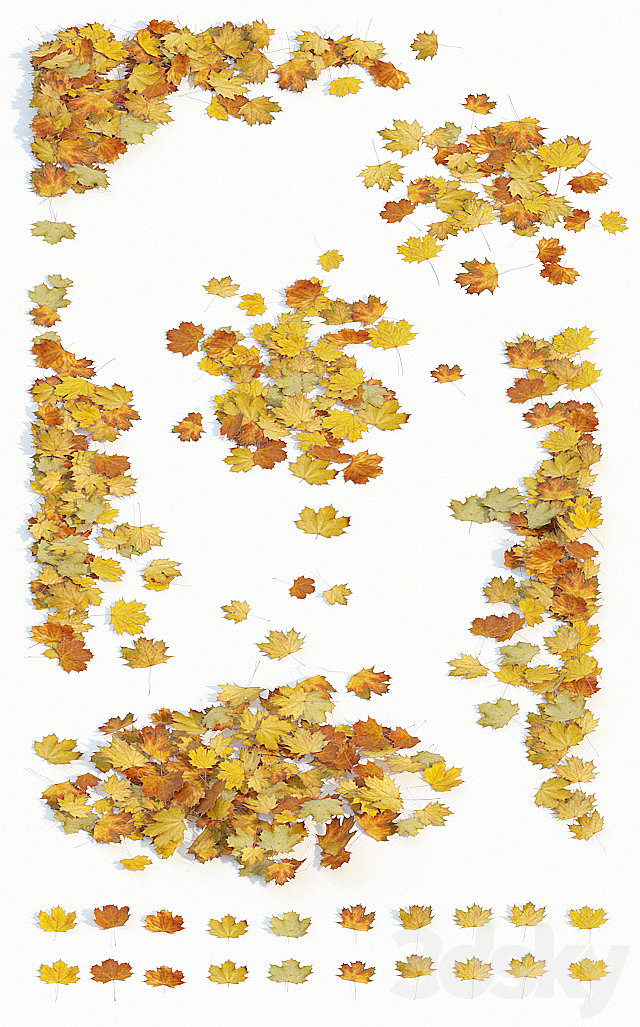 Autumn maple leaves 3d