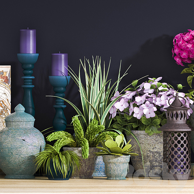 DECORATIVE SET 17 3d