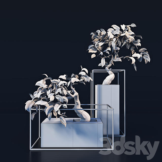 3dsky Free Download