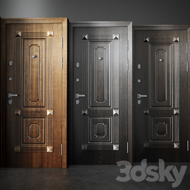 Entrance doors Torex Professor 3d