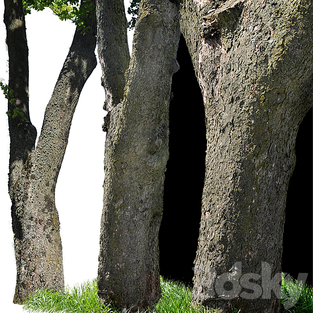 3dsky Free Download