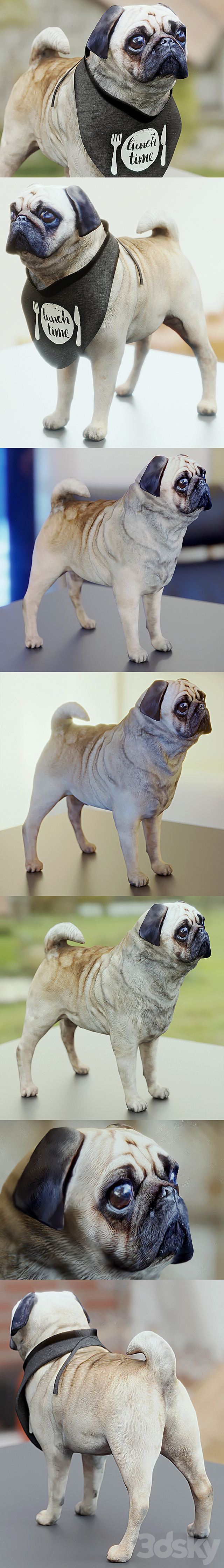 Cute Pug (vray + corona) 3d