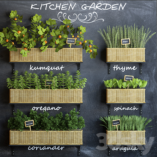 Kitchen garden 3 3DSMax File - thumbnail 1