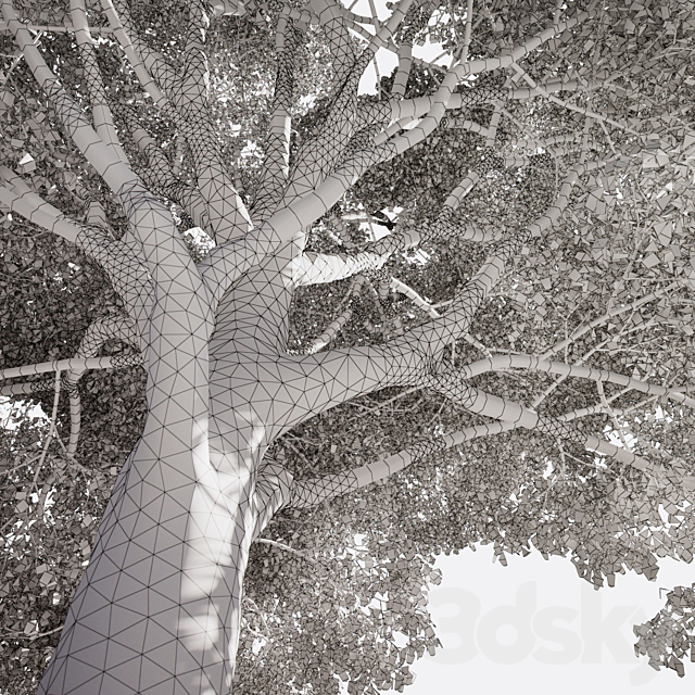 3dsky Free Download