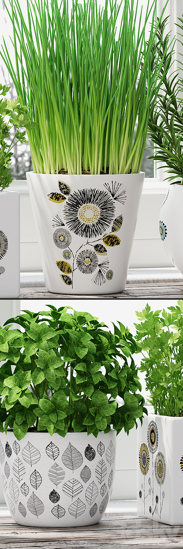 Herbs in pots 3DS Max Model - thumbnail 2