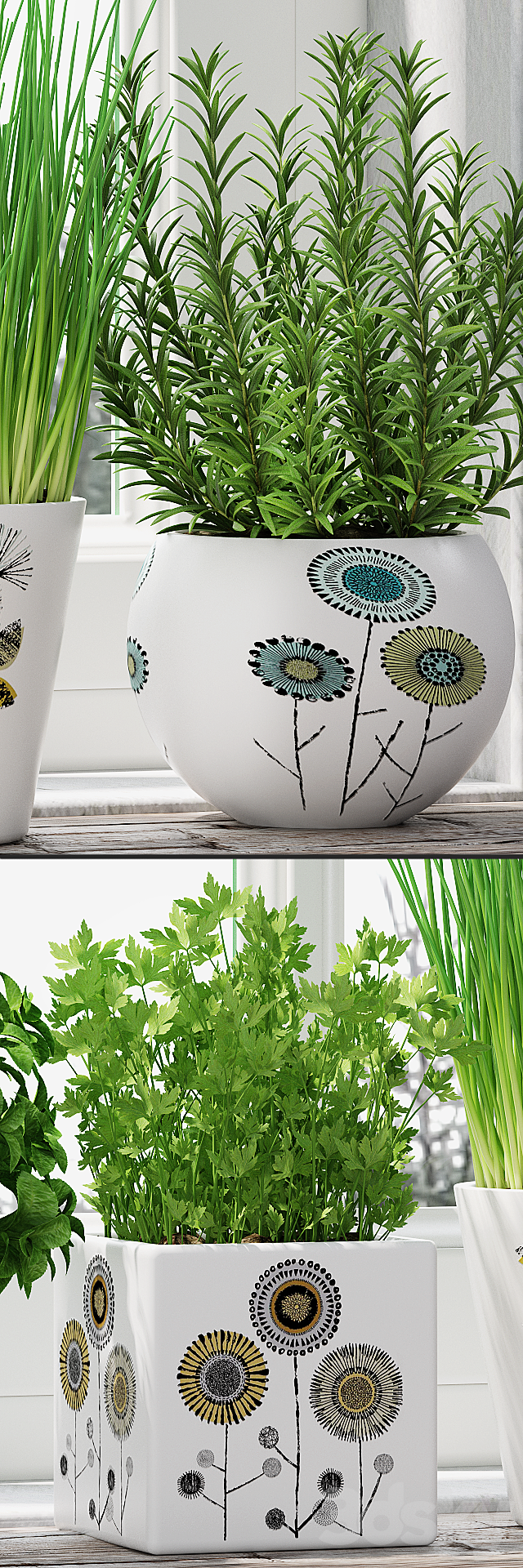 Herbs in pots 3DS Max Model - thumbnail 3