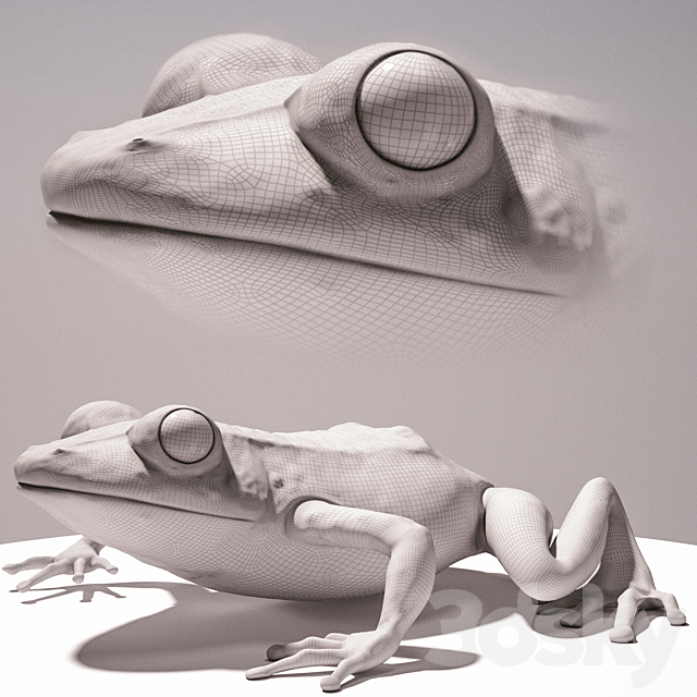 3d