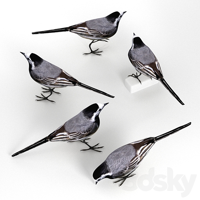 3dsky Free Download