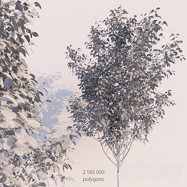 Young Tree 3DSMax File - thumbnail 3