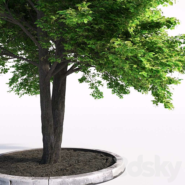 3d