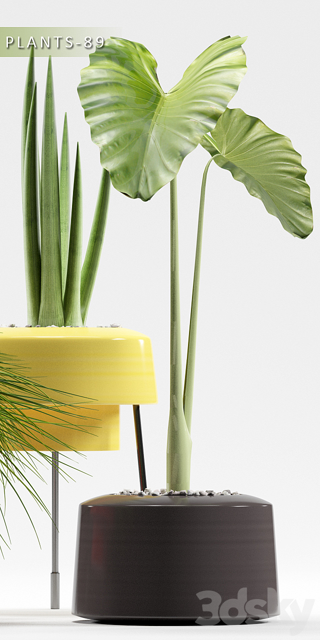 PLANTS 89 3d