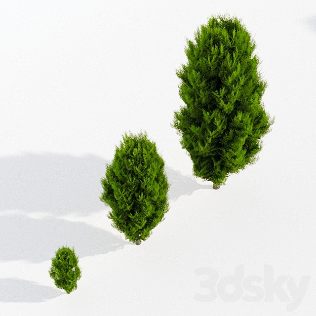 3dsky Free Download