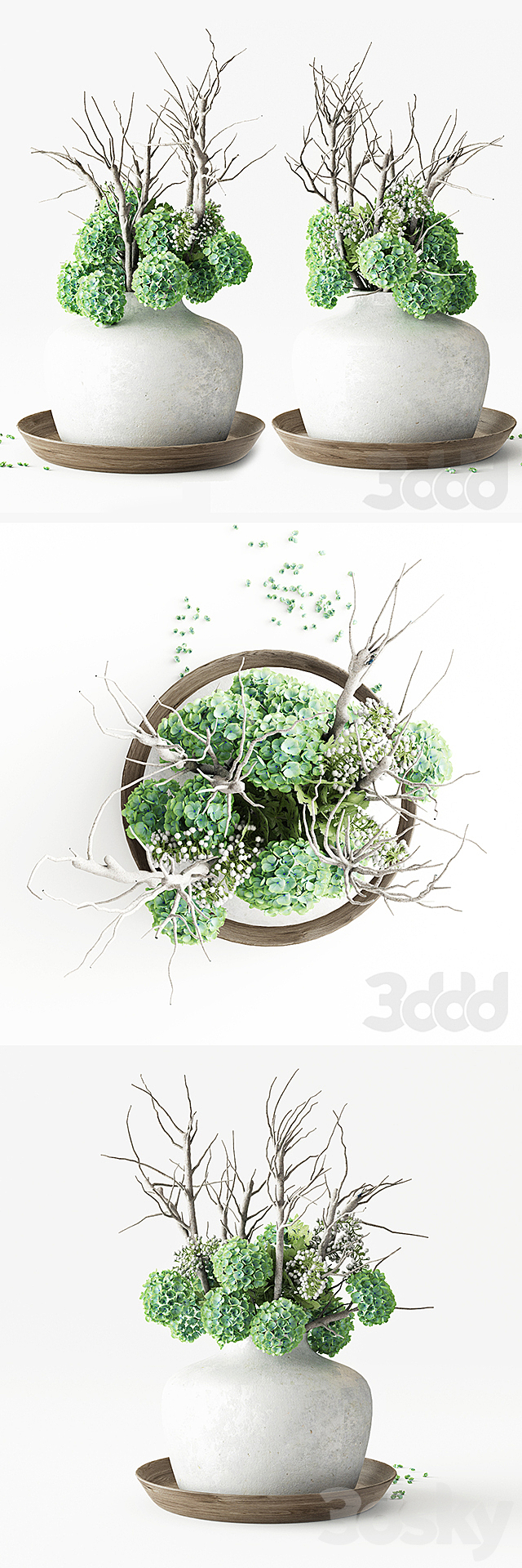 3d