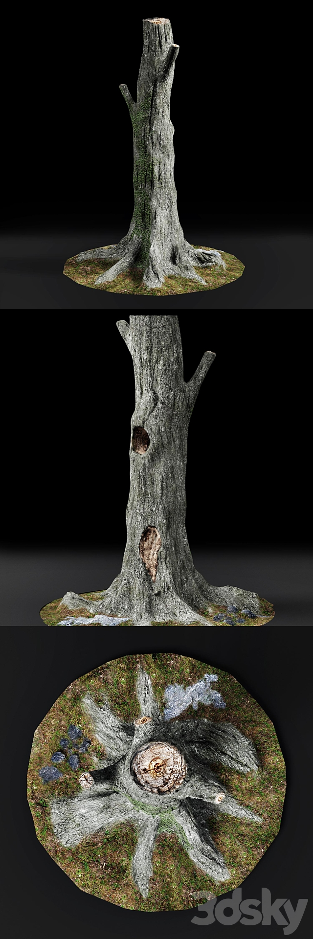 3d