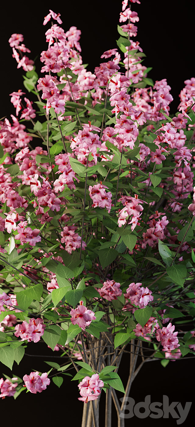 Set flowering shrubs 4 3d