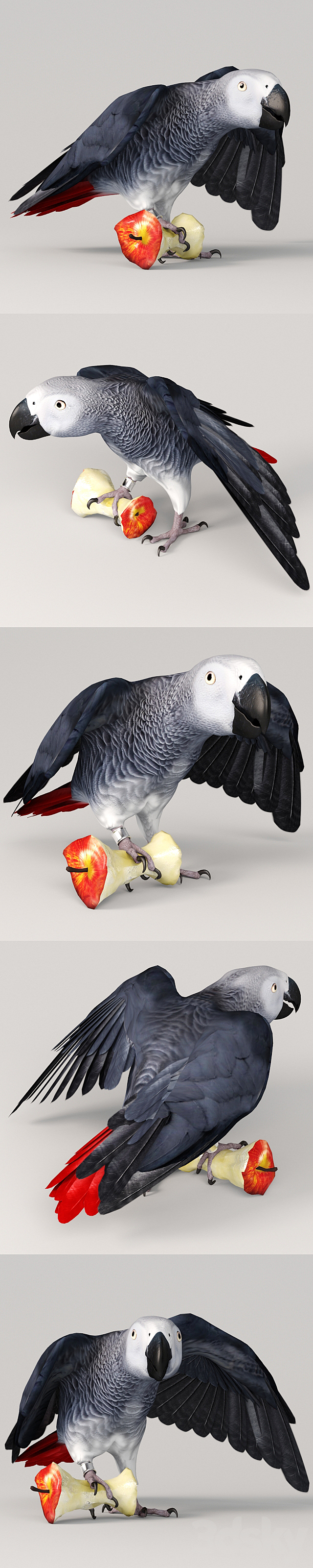 3d