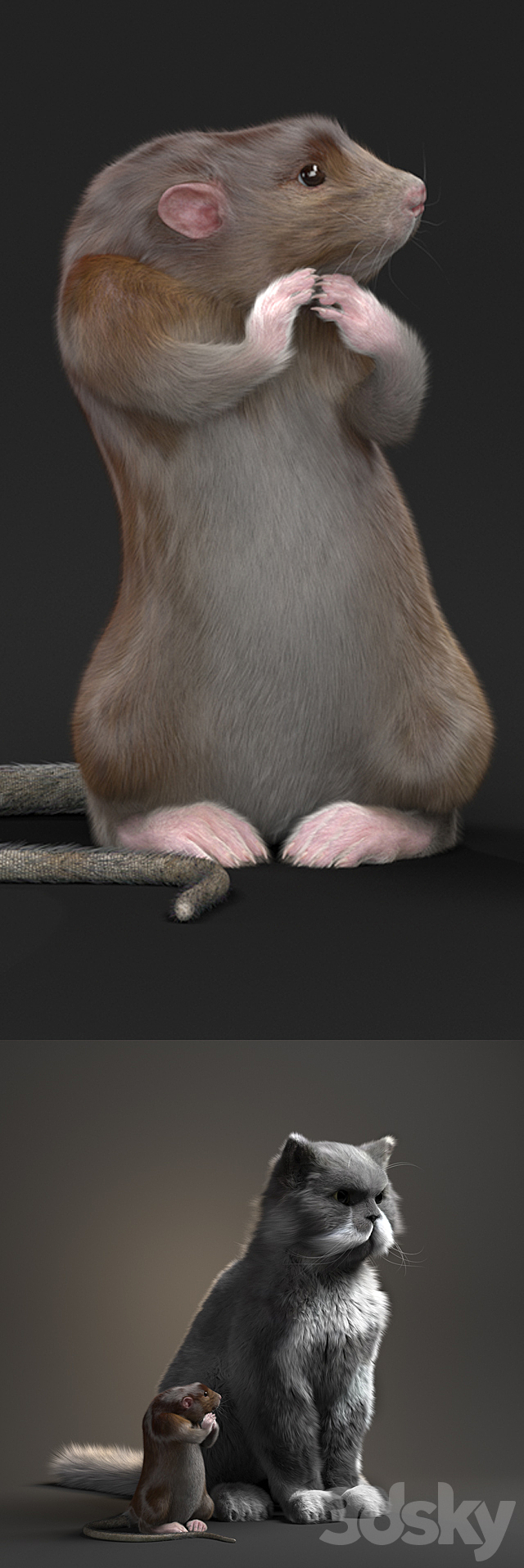 Rat and Cat 3d