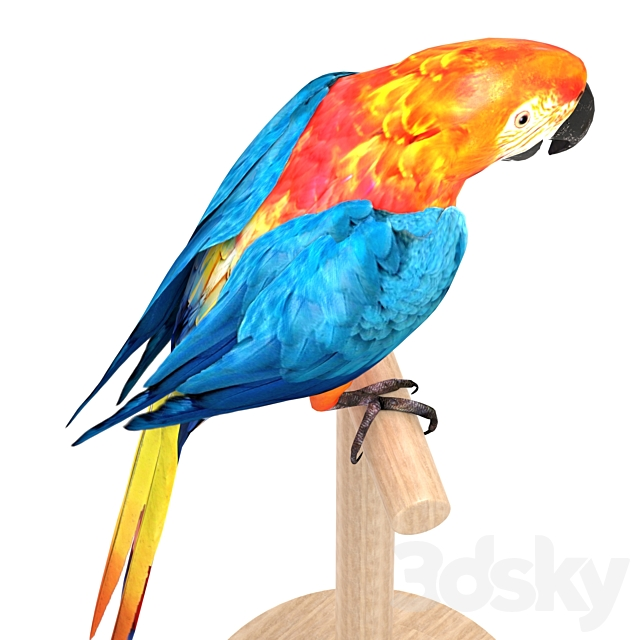 3dsky Free Download