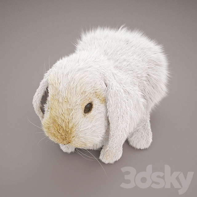 Rabbit 3d