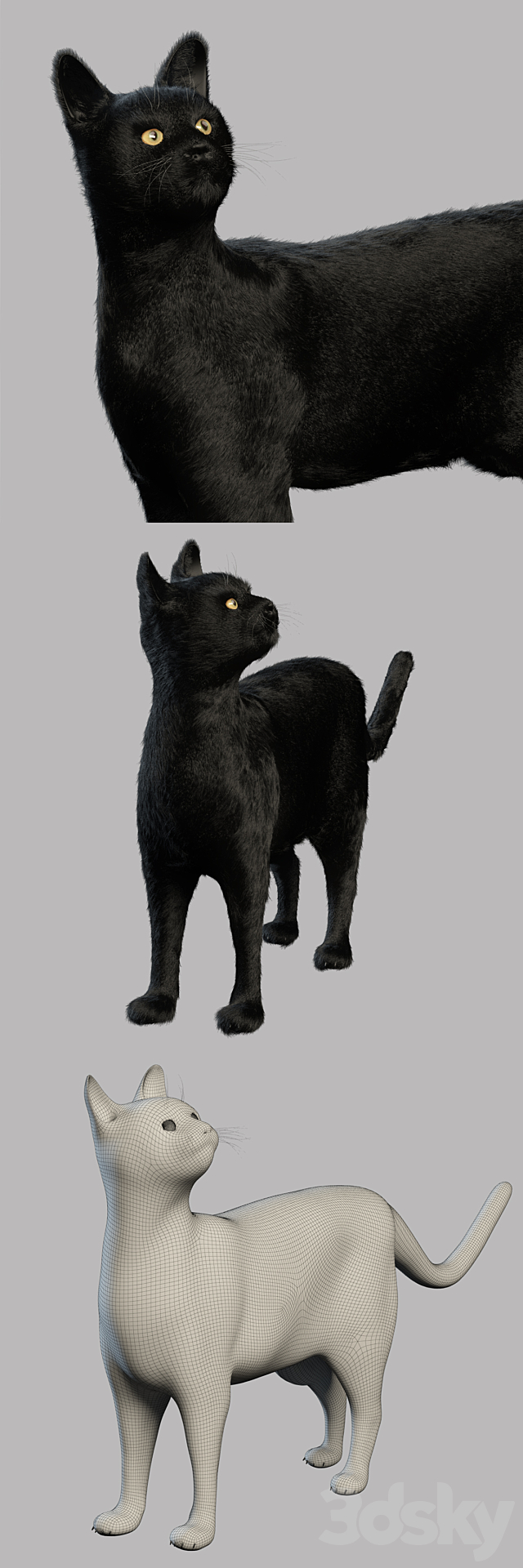 3dsky Free Download