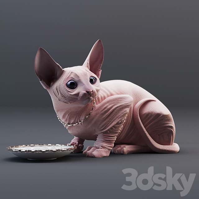 Sphynx cat 3d
