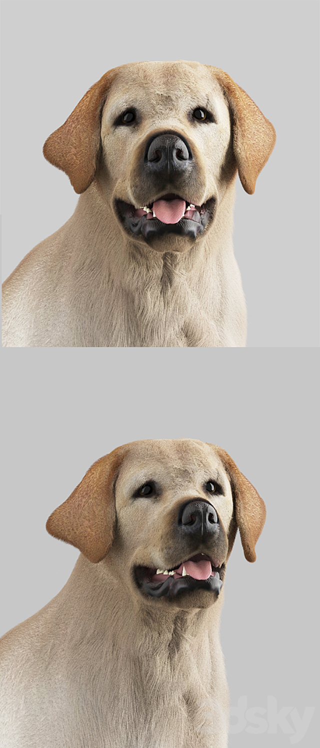 3d