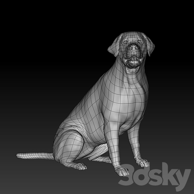 3dsky Free Download