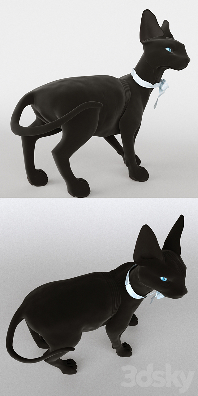 3d